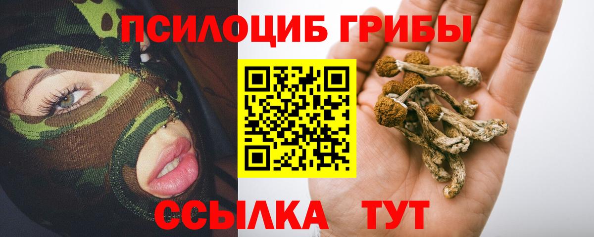 Ярцево  Псилоцибиновые грибы Cubensis  Вход с VPN  Галлюциногенные грибы Psilocybine cubensis 
