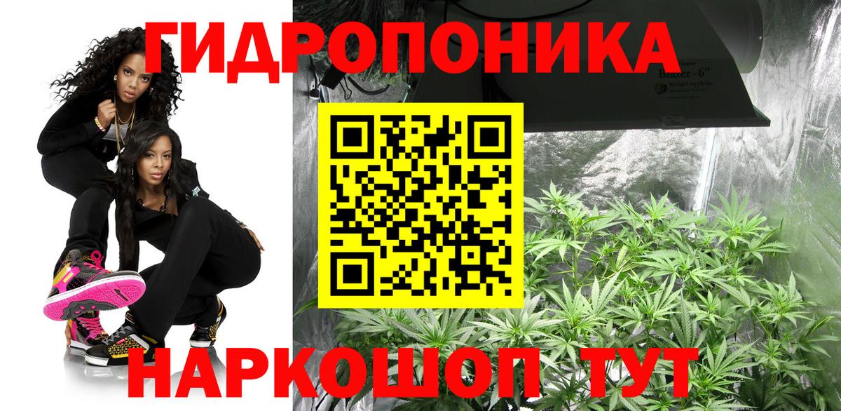 Бошки Шишки семена Ярцево